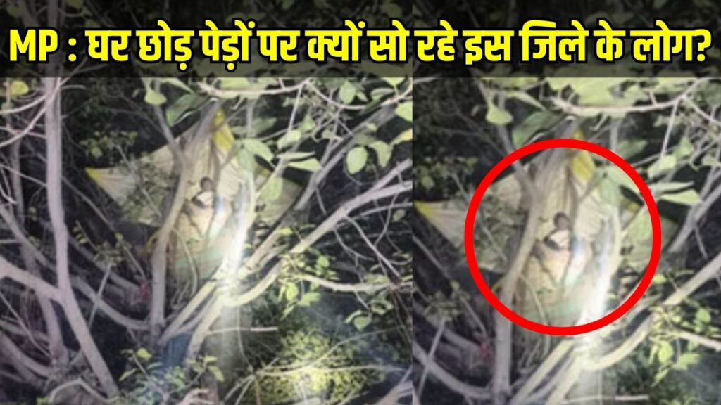 Human-Elephant Conflict