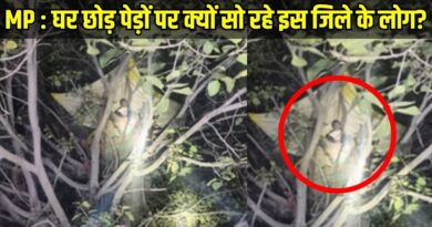 Human-Elephant Conflict