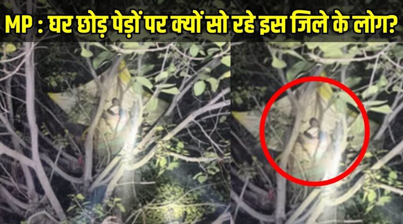 Human-Elephant Conflict